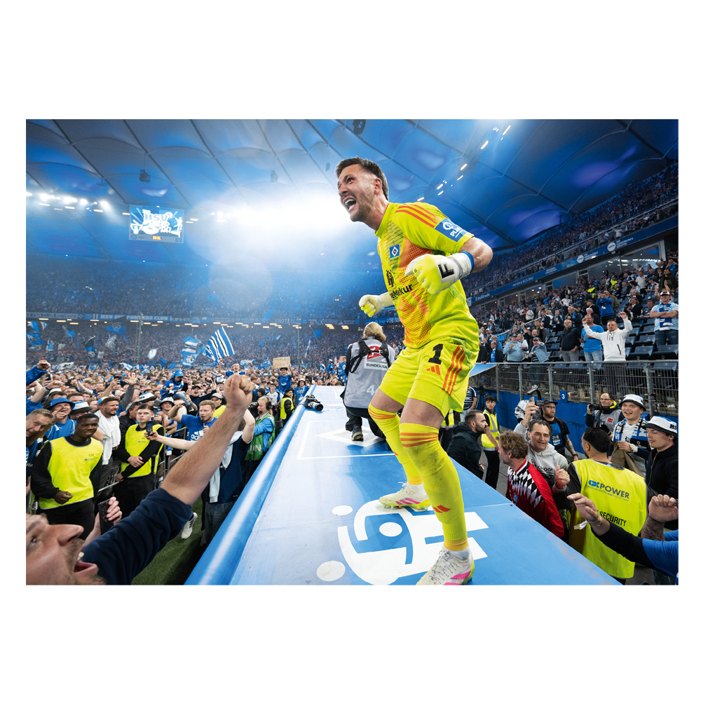 HSV Poster 3er-Set Aufstieg 24/25 "Stadion"